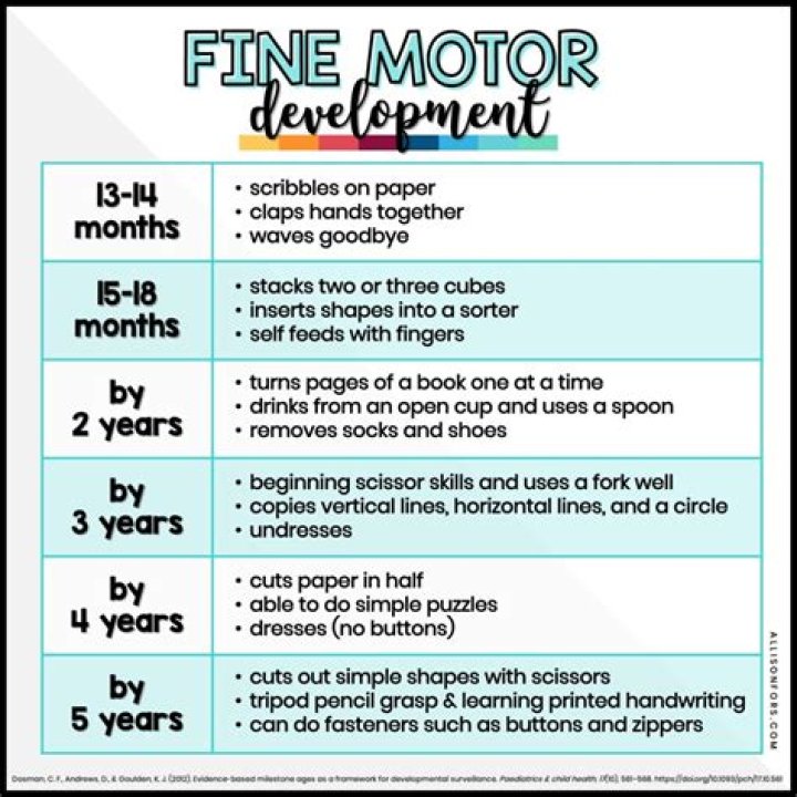 FINE CHART